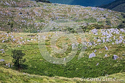 Doline with Limestone Pinnacles, Akiyoshidai Stock Photo