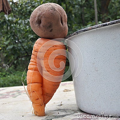 Doll made from potato and carrot in a garden Stock Photo