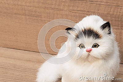 Doll White cat on wooden table background Stock Photo