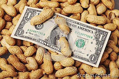 Dollar banknote on top of a bed of peanuts Stock Photo