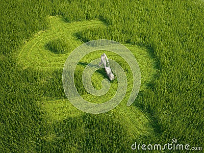 Dollar shaped lawn - money concept Stock Photo