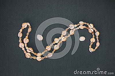 Dollar-shaped seashell necklace, on a dark textured background Stock Photo