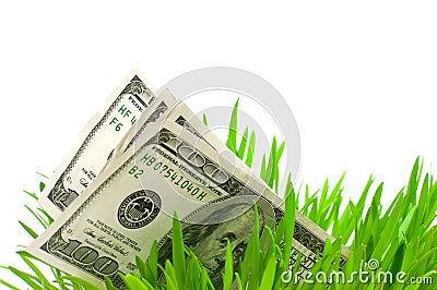 Dollars Stock Photo