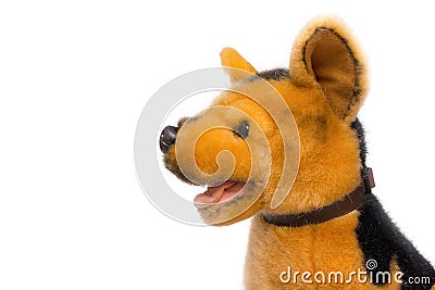 Dolly dog on white background Stock Photo