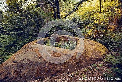 dolmens in the forest. cloudy dark mystical jungle with ancient ruins of a part of the rock Stock Photo