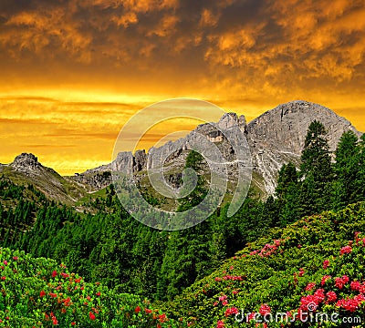 Dolomite peaks, Rosengarten Stock Photo