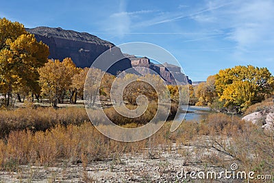 Dolores River near Gateway in Autumn Stock Photo