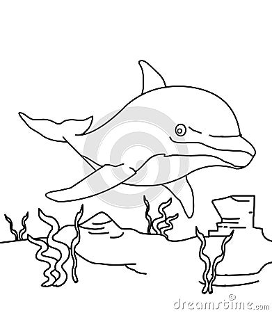 Dolphin coloring page Stock Photo