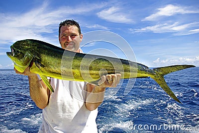 Dolphin fish (mahi-mahi) Stock Photo