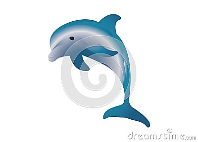 Dolphin Vector Illustration