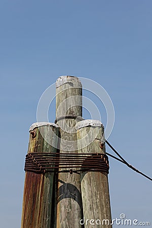 Dolphin piling with metal caps, rusted steel cable straps, mooring line Stock Photo
