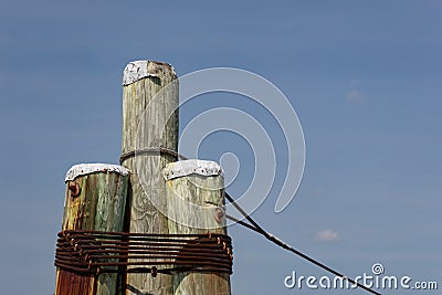 Dolphin piling, three poles strapped together with metal binding, rope mooring line Stock Photo