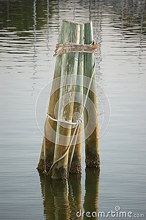 Dolphin Pilings Stock Photo