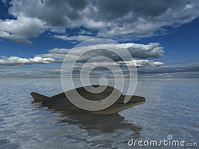 Dolphin smiling Stock Photo