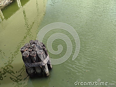 Dolphin Structure, Group Of Pilings In The Water Stock Photo