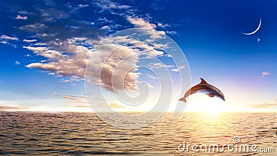 Dolphin surge, amid seawater, a young month in the clouds Stock Photo