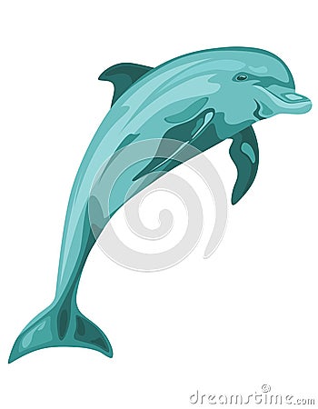 Dolphin vector Vector Illustration