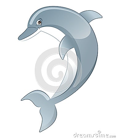 Dolphin Vector Illustration