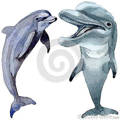 Dolphin wild mammals in a watercolor style isolated. Stock Photo