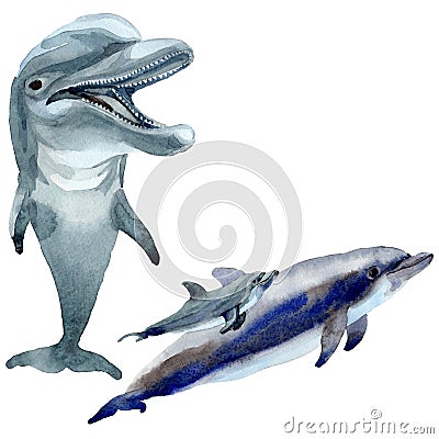 Dolphin wild mammals in a watercolor style isolated. Stock Photo