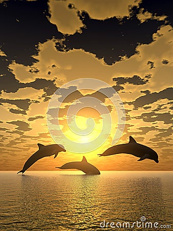 Dolphin yellow sunset Stock Photo
