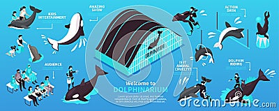 Dolphinarium Isometric Infographics Layout Vector Illustration