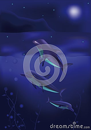 Dolphins Vector Illustration