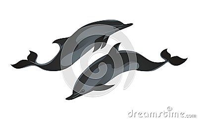 Dolphins Vector Illustration