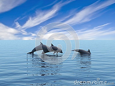 Dolphins. Stock Photo