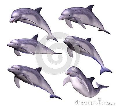 DOLPHINS Stock Photo