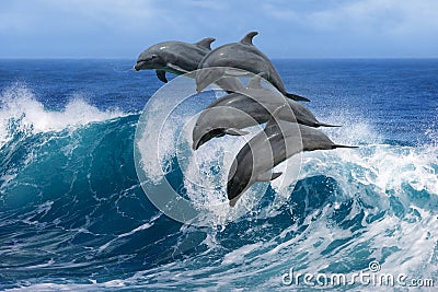 Dolphins jumping over waves Stock Photo