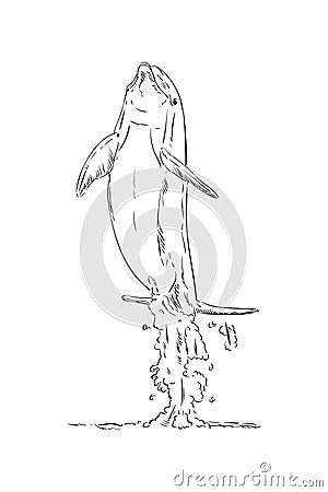 Dolphins jumping Vector Illustration