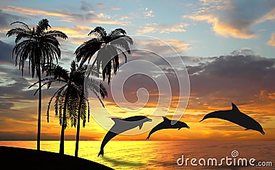 Dolphins near Hawaii Stock Photo