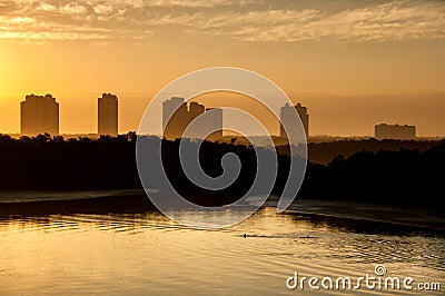 Dolphins swim beneath highrises in the hazy light of a golden sunrise. Stock Photo