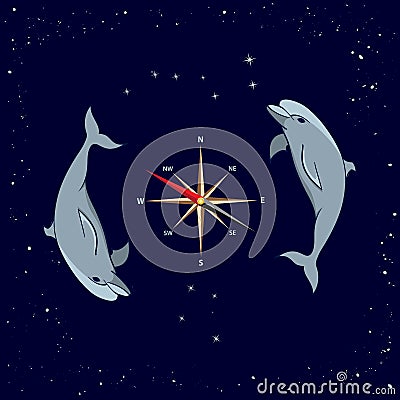 Dolphins, windrose, Ursa Major and Southern Cross Vector Illustration