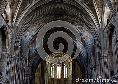 Dome of gothic cathedral Stock Photo