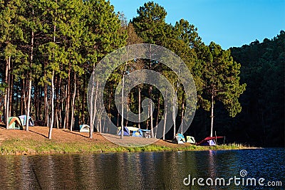 Dome tents near lake and pine trees in camping site at Pang Ung Stock Photo