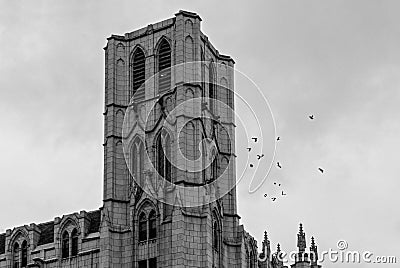 Domed Historic Building with Bird Illustration Stock Photo