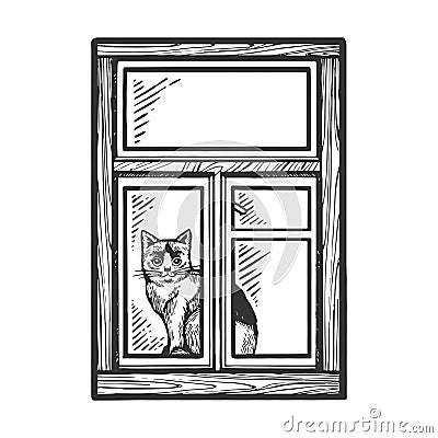 Domestic cat looking out window sketch engraving Vector Illustration