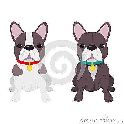 Domestic dog French Bulldog breed on the white background. Vector Illustration