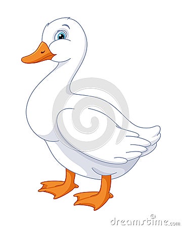 Domestic Duck Cartoon Vector Illustration Vector Illustration