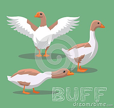 Domestic Goose Buff Cartoon Vector Illustration Vector Illustration