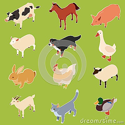 Domestic isometric animals Vector Illustration