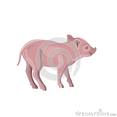 Domestic piglet vector Vector Illustration