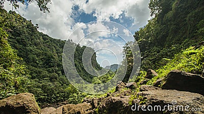 Dominica Stock Photo