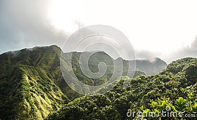 Dominica Boiling Lake Hike Landscape Stock Photo