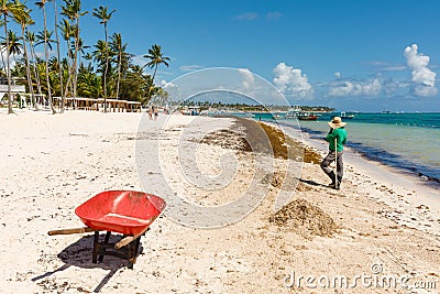 07.24.2022. Dominican Republic Bavaro Punta cana provinces La Altagracia. Seaweed on the beach. Algae sargassum Editorial Stock Photo