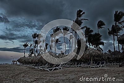 Dominican Republic, palm trees, storm Stock Photo