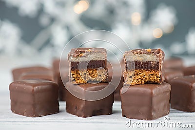 Domino stones, a german traditional christmas sweet with gingerbread, marzipan and jelly covered with brown chocolate, Dominostein Stock Photo