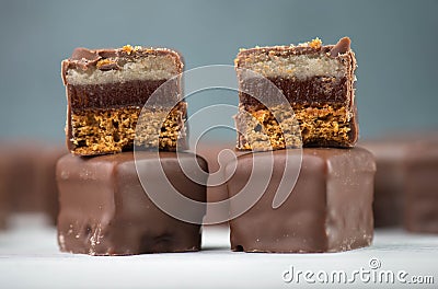 Domino stones, a german traditional christmas sweet with gingerbread, marzipan and jelly covered with brown chocolate, Dominostein Stock Photo